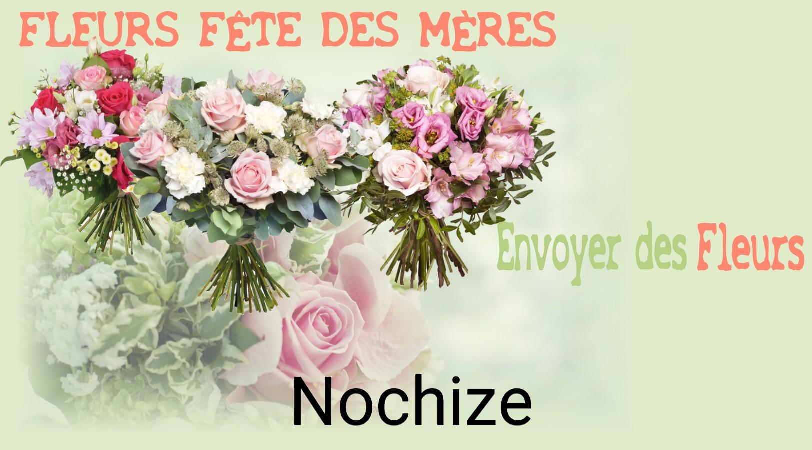Bouquet de Fête des Mères livré à Nochize